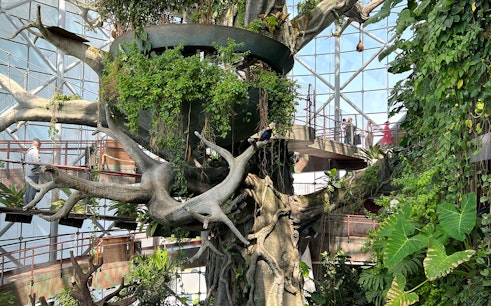 Green Planet Dubai Tickets