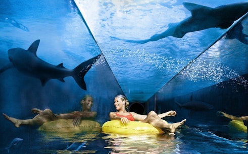 Aquaventure Waterpark Tickets