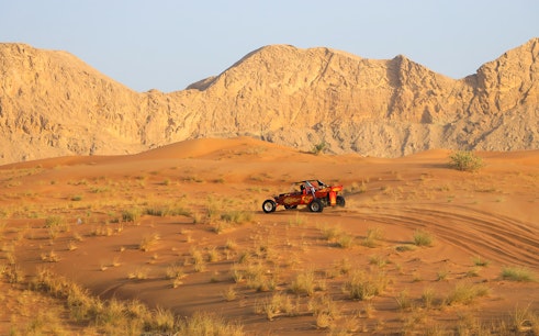Evening Desert Safari with Optional Quad Biking or Dune Buggy
