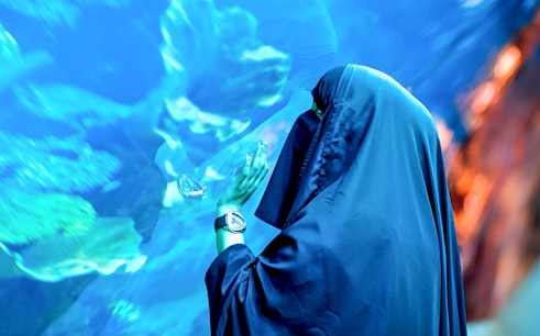 Dubai Aquarium & Underwater Zoo with Penguin Cove Tickets