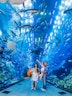 Dubai Aquarium Tickets